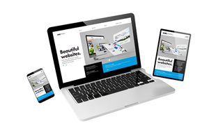 Yazılım ve Web Site Hizmetleri